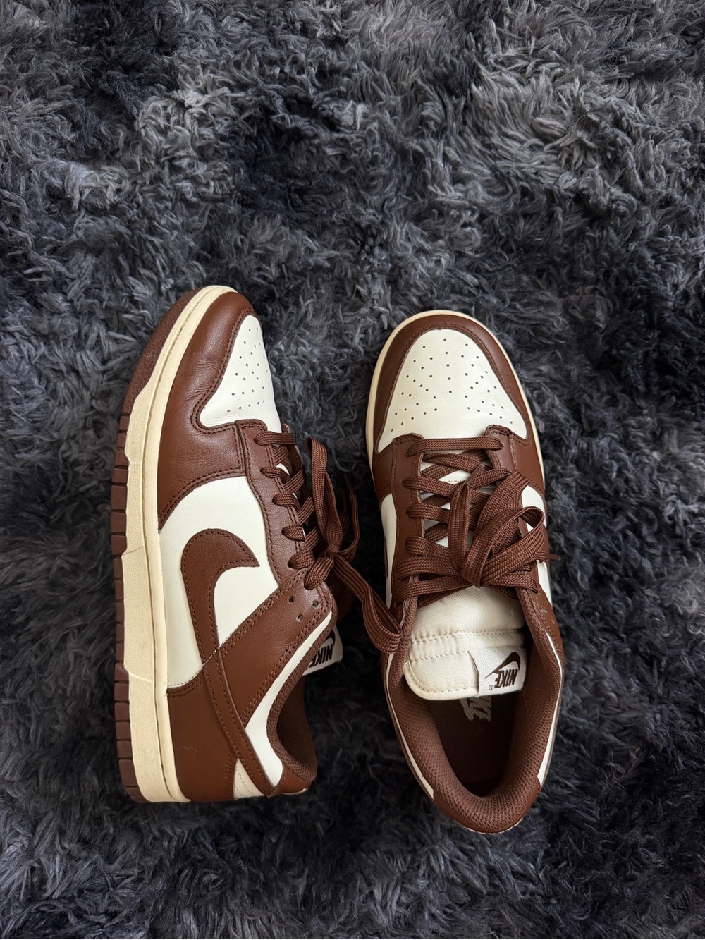 Nike Dunks Cacao Wow